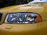 dsc01745.jpg